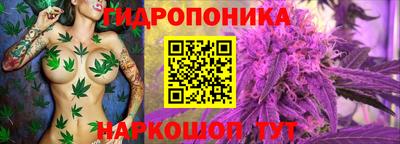 прущая мука Пыть-Ях