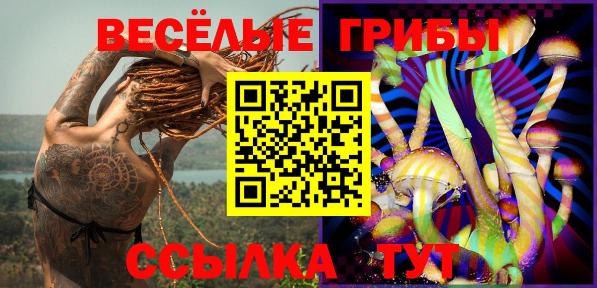 Псилоцибиновые грибы GOLDEN TEACHER Амурск