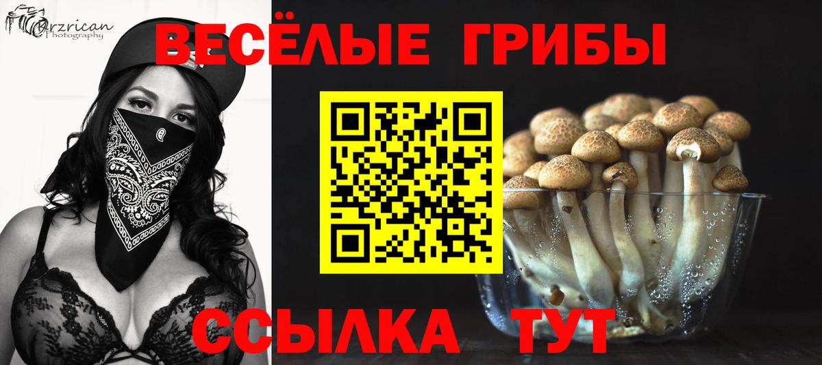 цена   Псилоцибиновые грибы мухоморы  Псилоцибиновые грибы мицелий  Вход с VPN  Амурск 